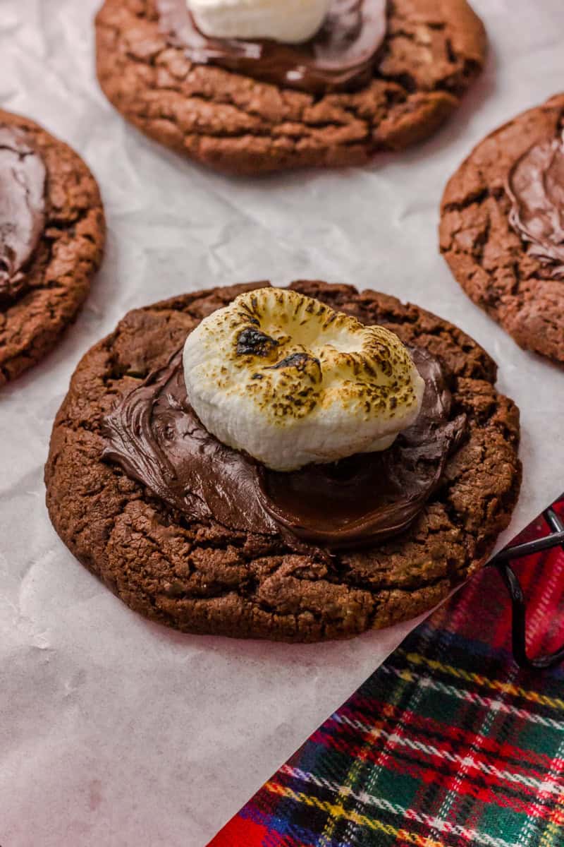 A close-up of a chocolate cookie topped with melted chocolate and a toasted marshmallow.