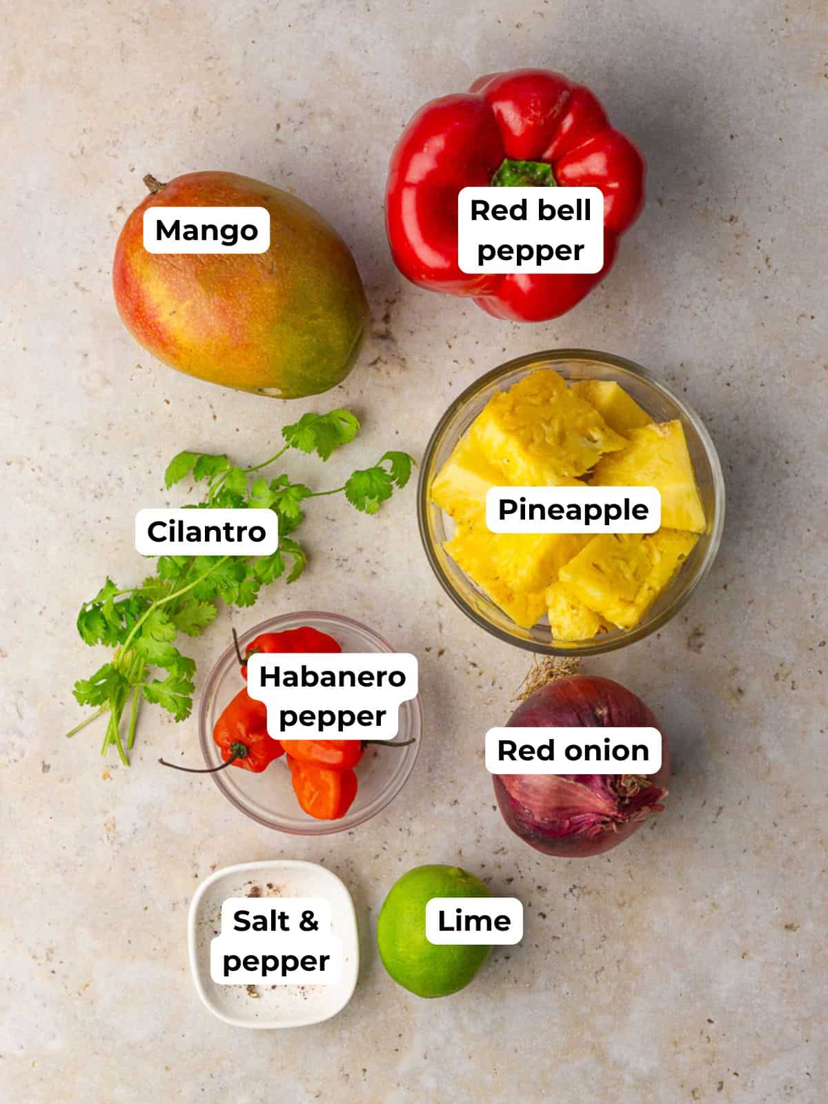 Flat lay of fresh ingredients for pineapple mango habanero salsa labeled for easy prep.