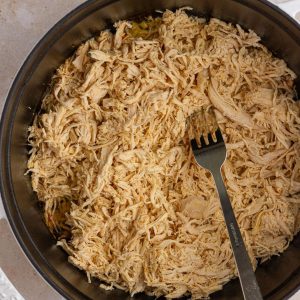 Shredded chicken filling a Dutch oven with a fork resting inside.