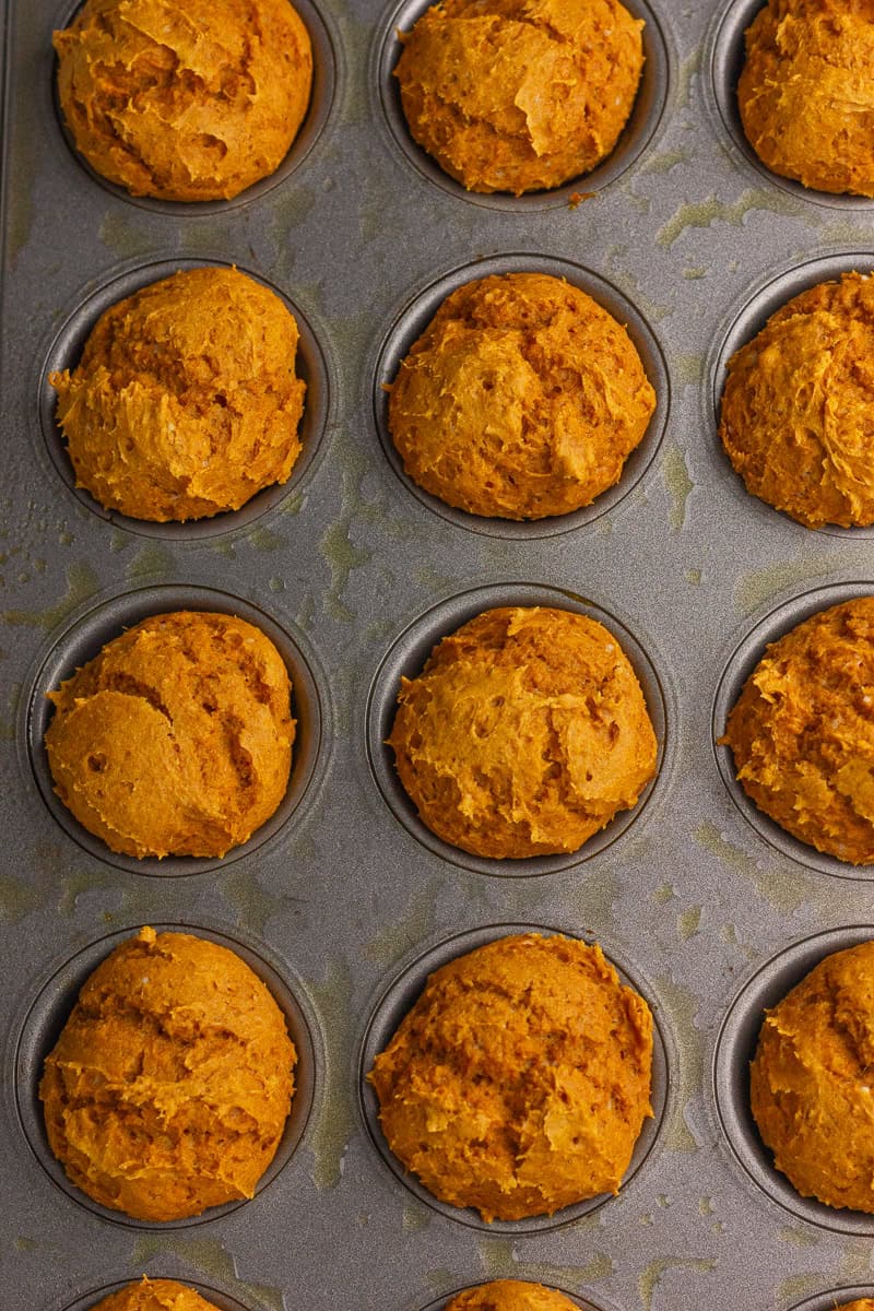 Mini muffin pan filled with freshly baked pumpkin donut hole mounds.