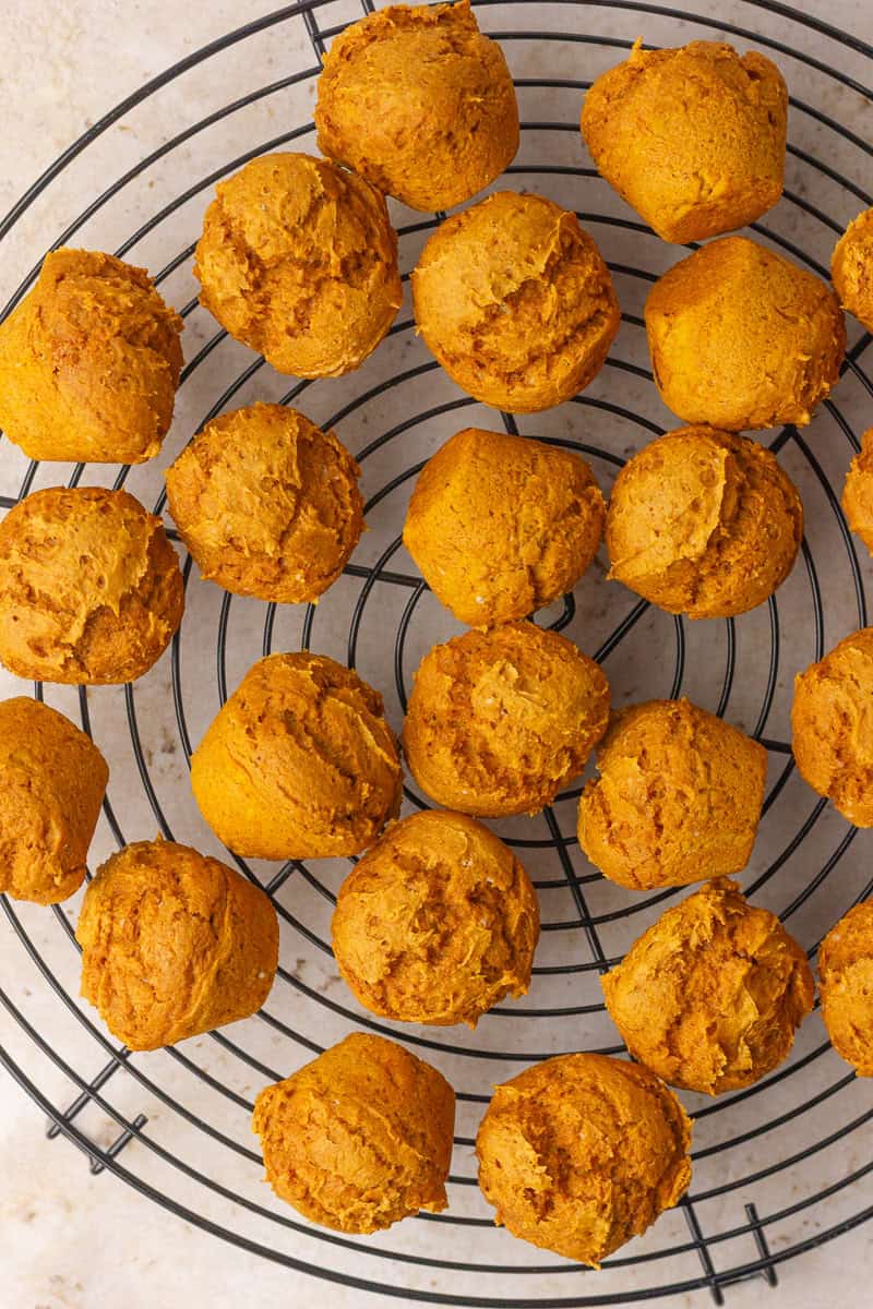 Plain baked pumpkin donut holes cooling on a round wire rack.
