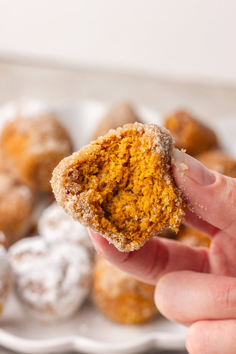 A hand holds a cinnamon-sugar coated pumpkin donut hole with a bite taken out to show the soft center.