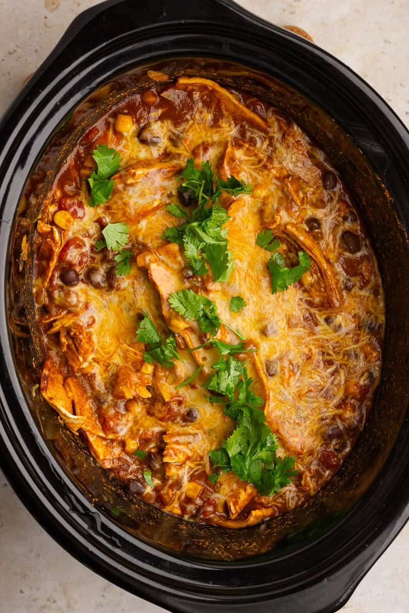 Slow cooker filled with cheesy chicken enchilada casserole topped with fresh cilantro.