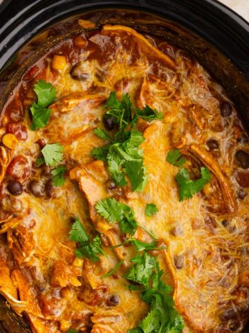 Cheesy crockpot chicken enchilada casserole garnished with cilantro.