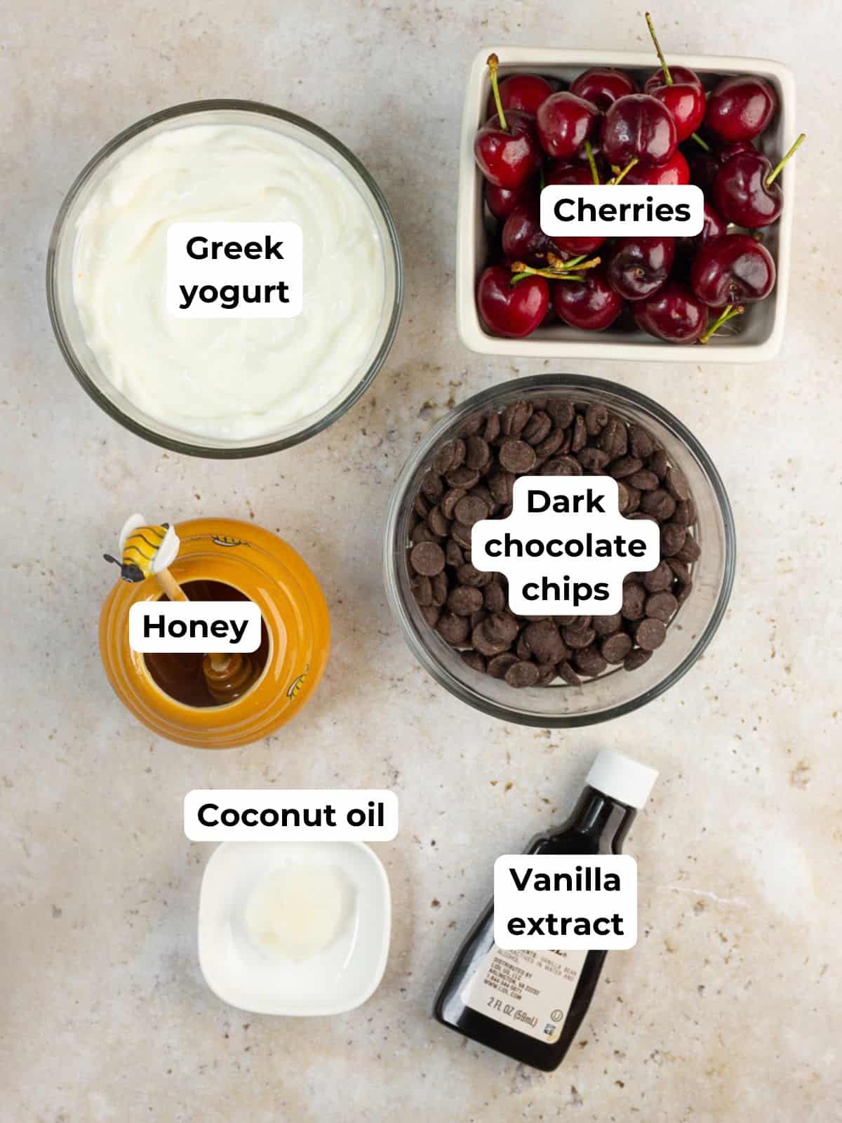 Ingredients for chocolate covered yogurt bites are labeled on a countertop.