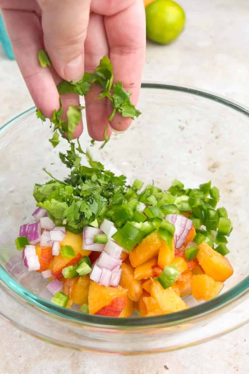 Fresh cilantro is added to a bowl of diced peaches, jalapeno, and red onion.