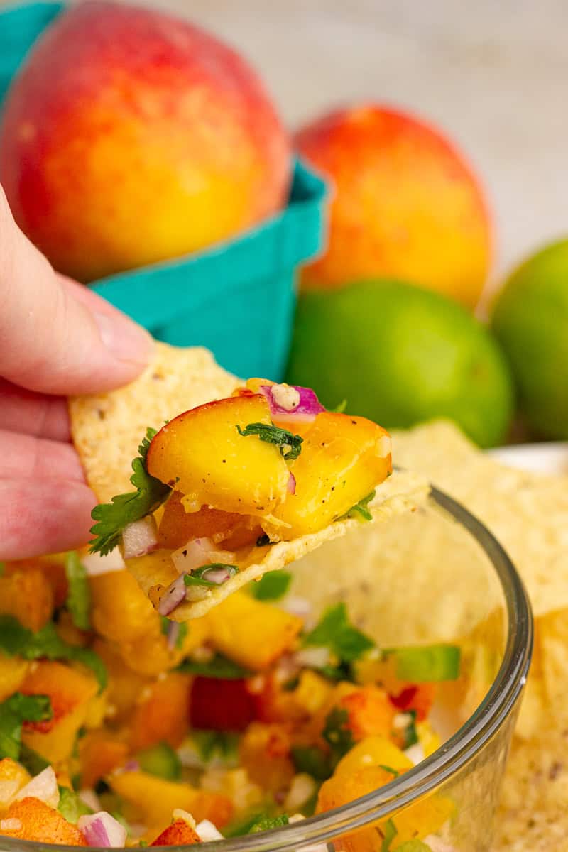 A tortilla chip is topped with chunky jalapeno peach salsa and fresh cilantro.